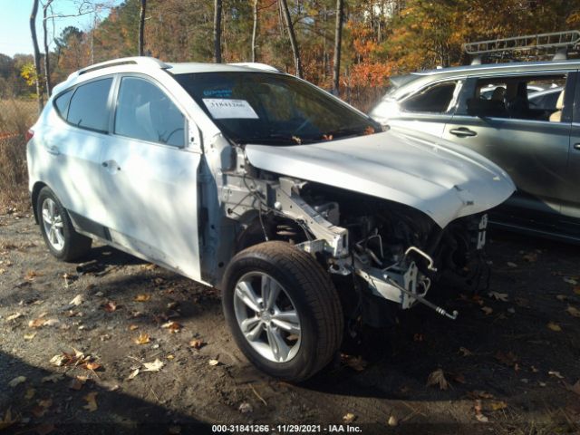 HYUNDAI TUCSON 2011 km8ju3ac8bu172223