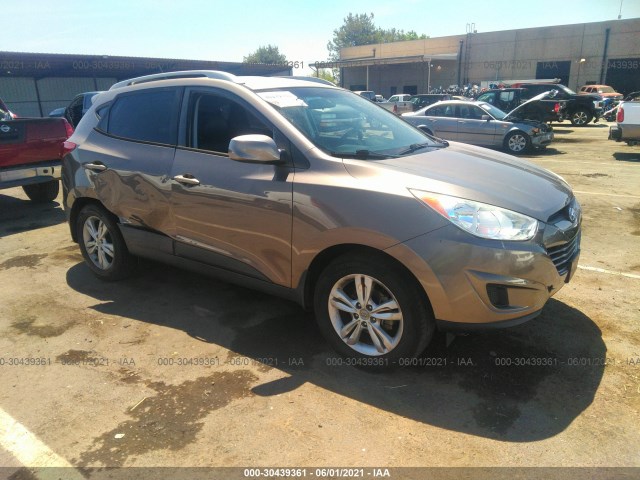 HYUNDAI TUCSON 2011 km8ju3acxbu159537