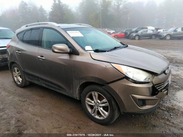 HYUNDAI TUCSON 2010 km8jucac0au081459