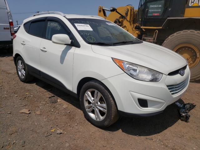 HYUNDAI TUCSON 2011 km8jucac0bu227585