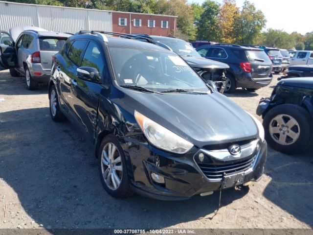 HYUNDAI TUCSON 2011 km8jucac1bu231192