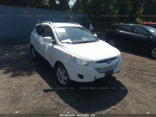 HYUNDAI TUCSON 2011 km8jucac2bu122398