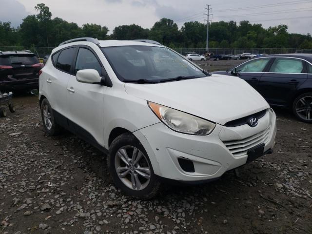 HYUNDAI TUCSON GLS 2010 km8jucac6au095897