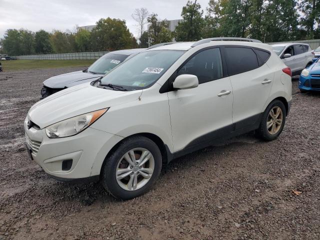 HYUNDAI TUCSON GLS 2010 km8jucac7au098775