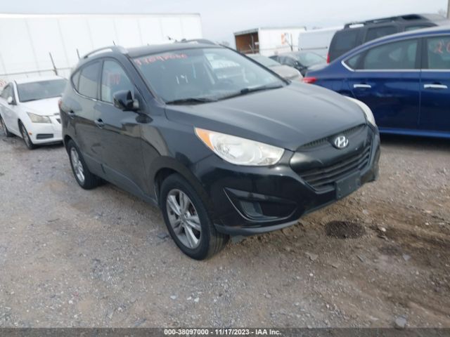 HYUNDAI TUCSON 2010 km8jucac8au021672