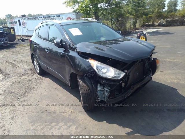 HYUNDAI TUCSON 2013 km8jucac8du712060