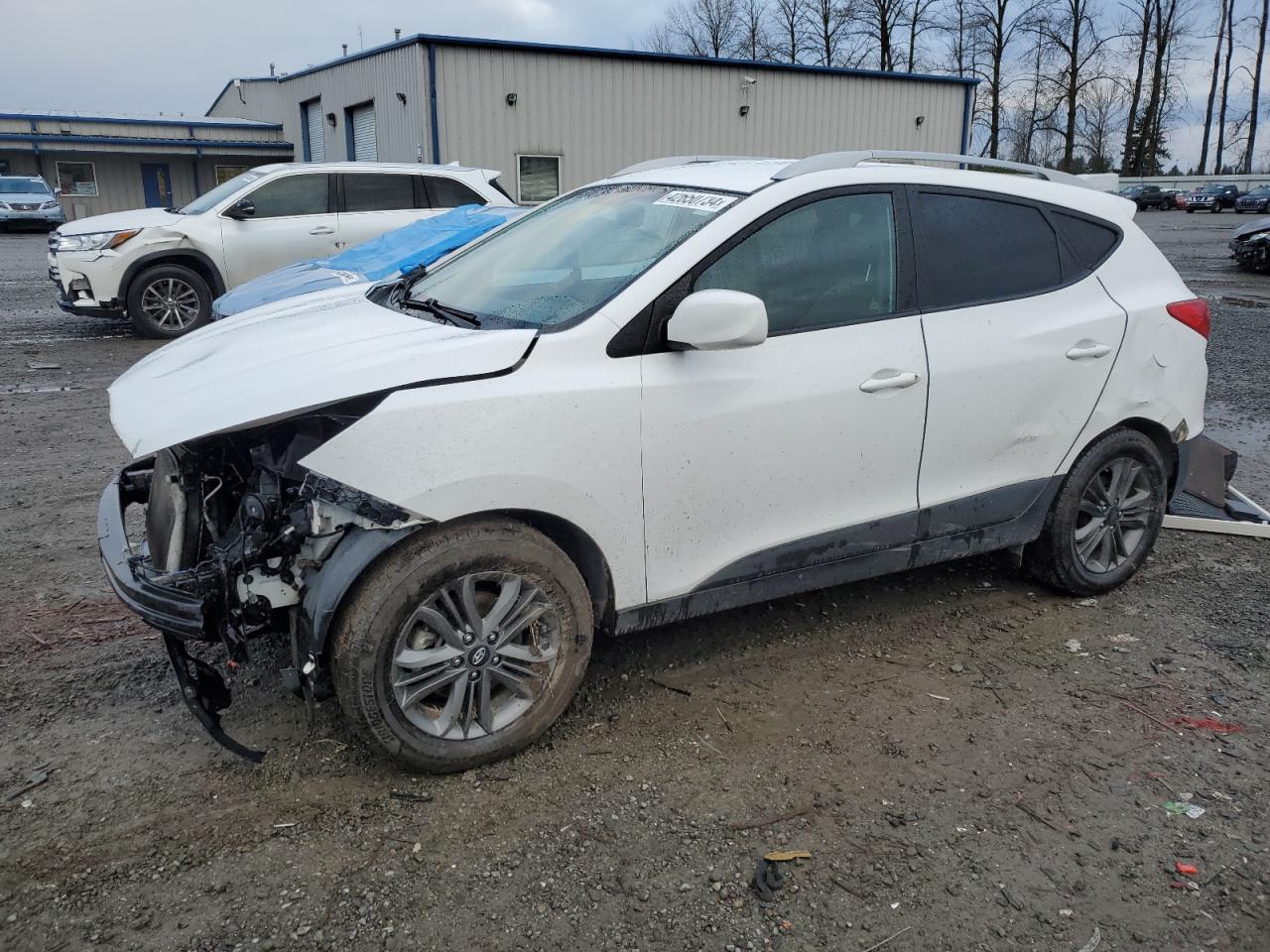 HYUNDAI TUCSON 2014 km8jucag1eu859034