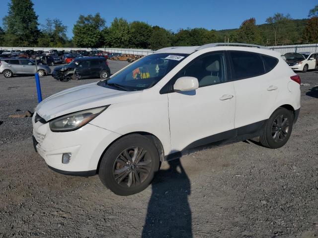 HYUNDAI TUCSON LIM 2015 km8jucag4fu105966