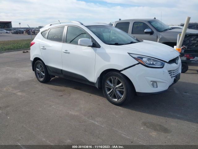 HYUNDAI TUCSON 2014 km8jucag6eu906025