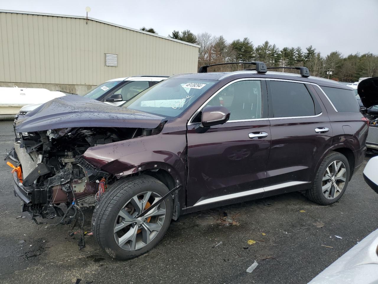 HYUNDAI PALISADE 2021 km8r5dhe0mu190442