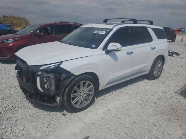 HYUNDAI PALISADE 2020 km8r5dhe3lu153660