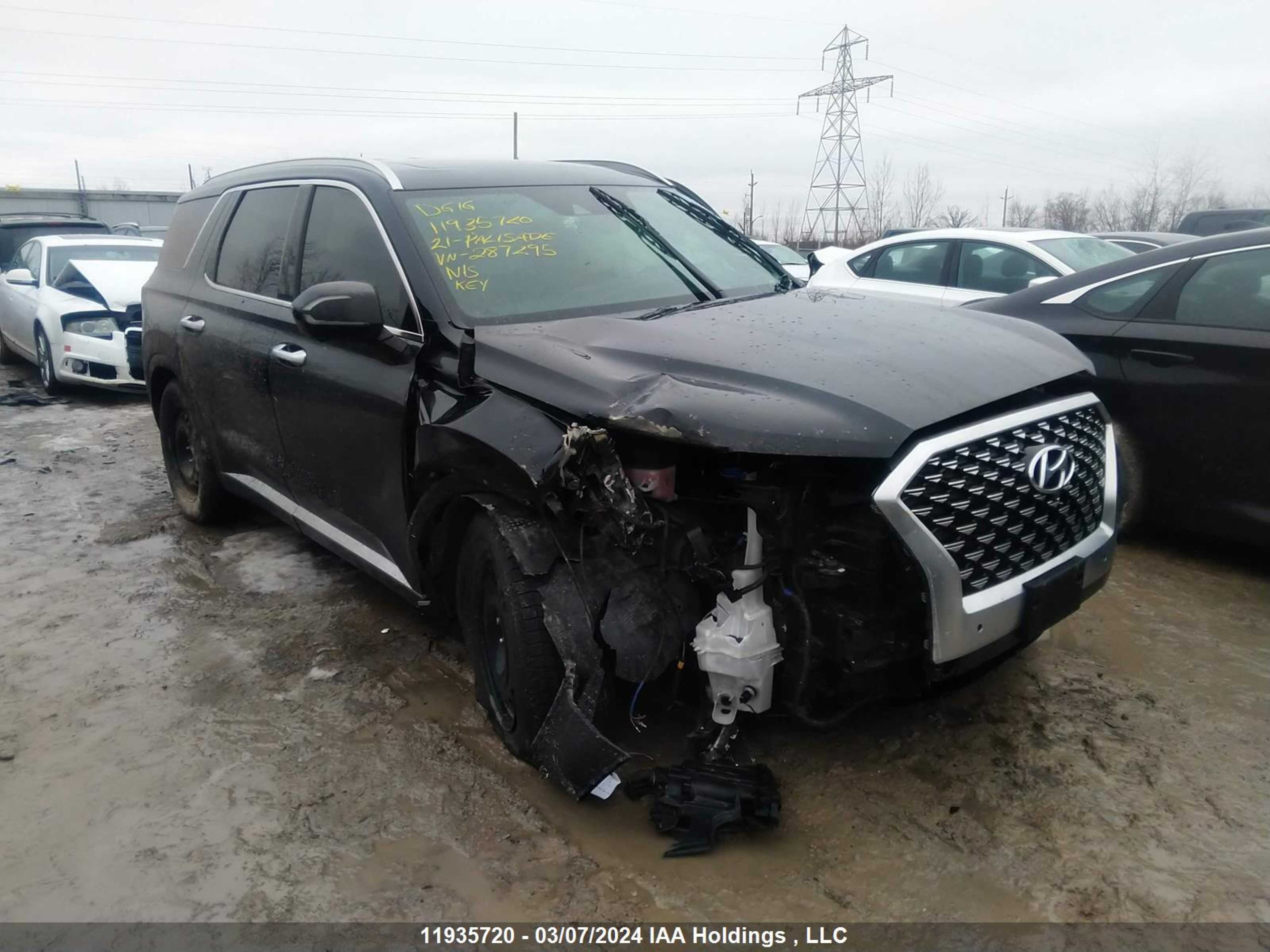 HYUNDAI PALISADE 2021 km8r5dhe5mu287295