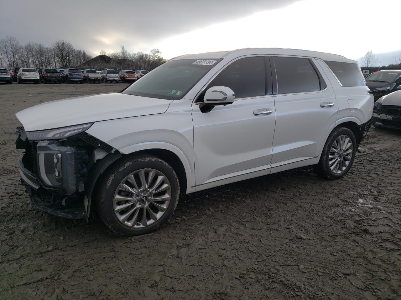 HYUNDAI PALISADE 2020 km8r5dhe7lu172096