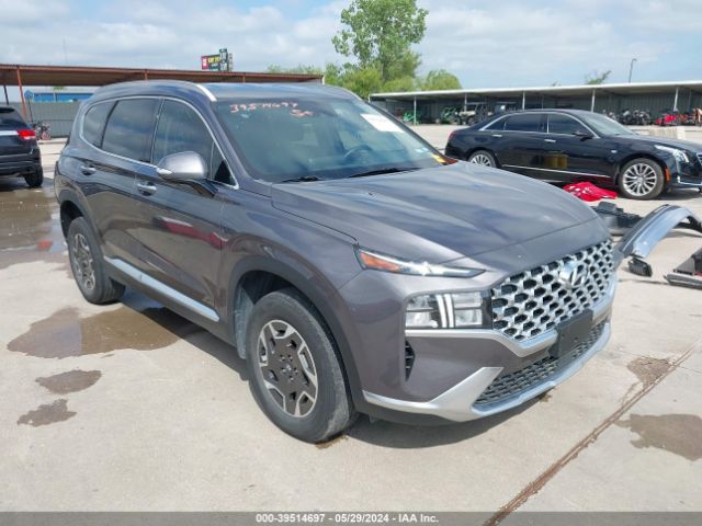 HYUNDAI SANTA FE 2022 km8s2da13nu048668