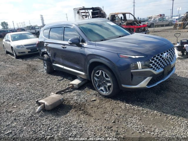 HYUNDAI SANTA FE 2022 km8s5da10nu042351