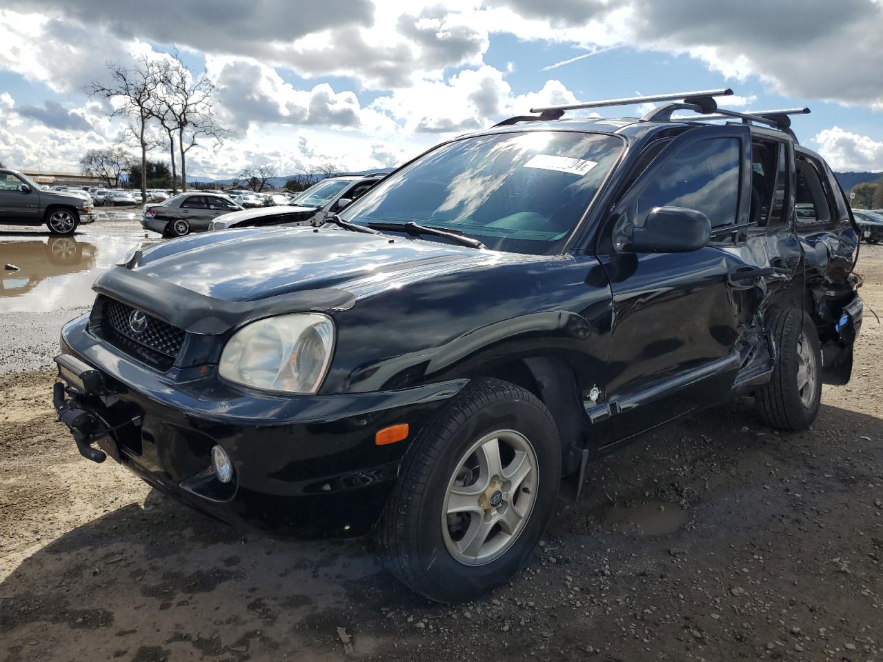 HYUNDAI SANTA FE 2002 km8sb12b02u182782