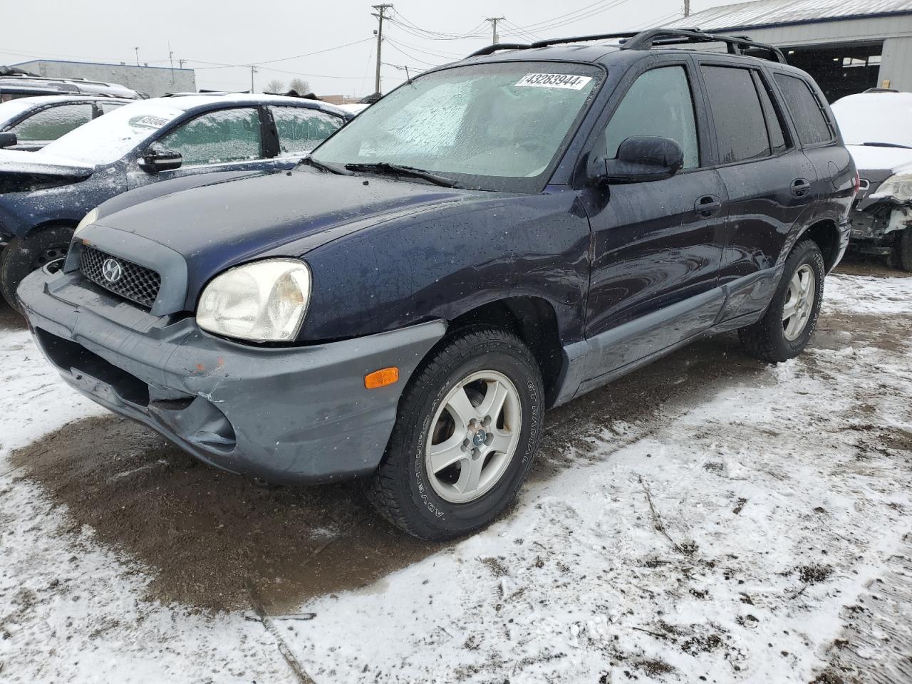 HYUNDAI SANTA FE 2004 km8sb12b04u643238