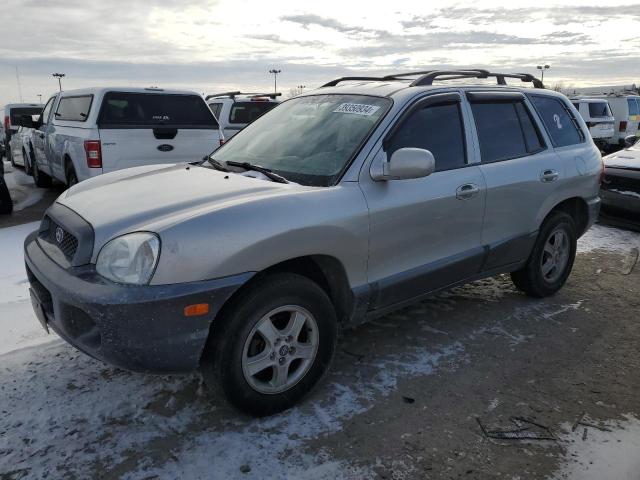 HYUNDAI SANTA FE 2004 km8sb12b04u841107