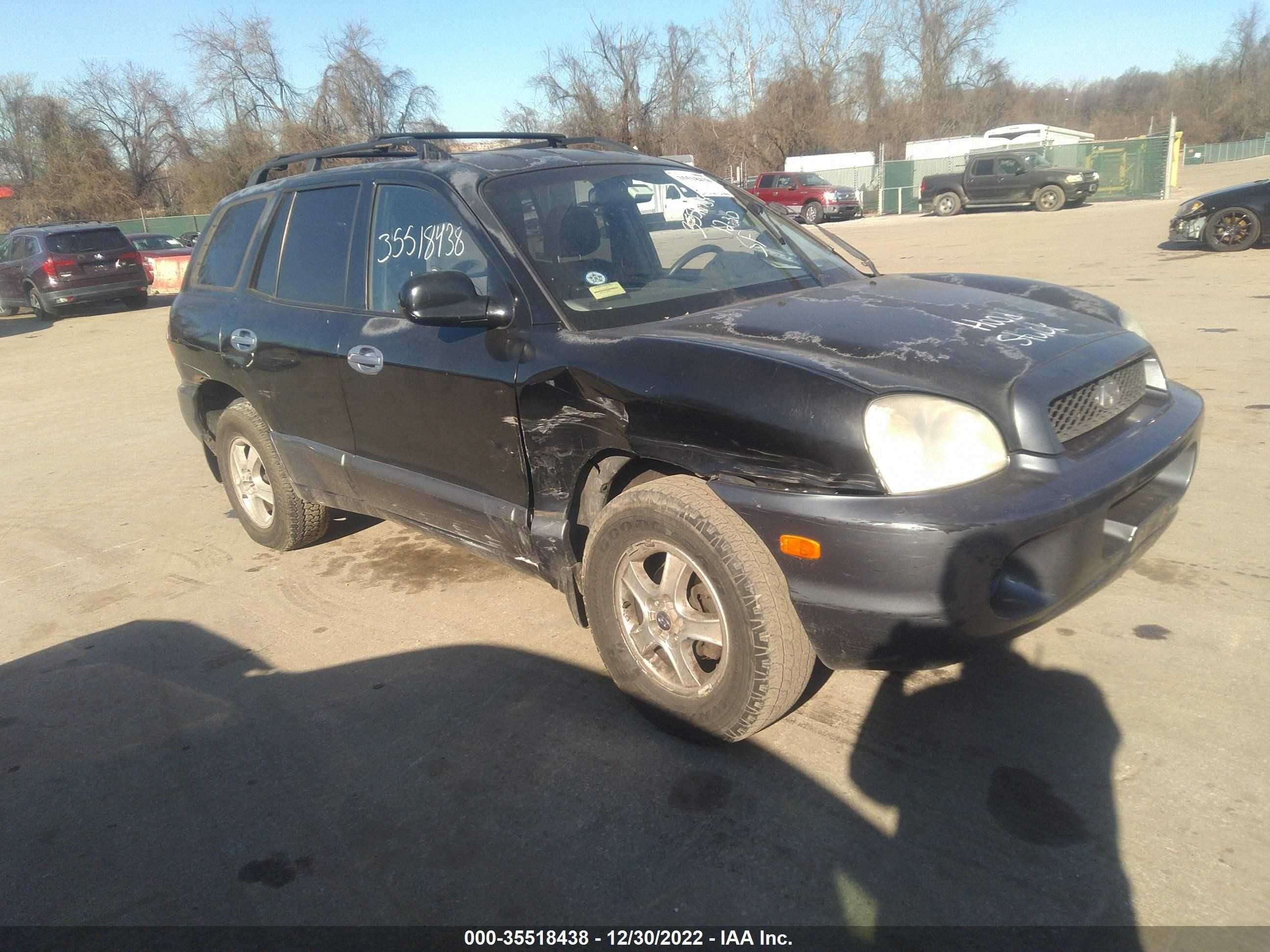 HYUNDAI SANTA FE 2002 km8sb12b12u307336