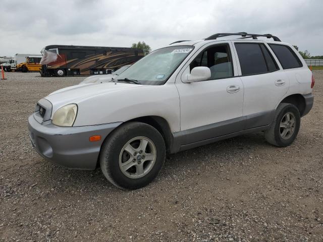 HYUNDAI SANTA FE 2004 km8sb12b14u635665