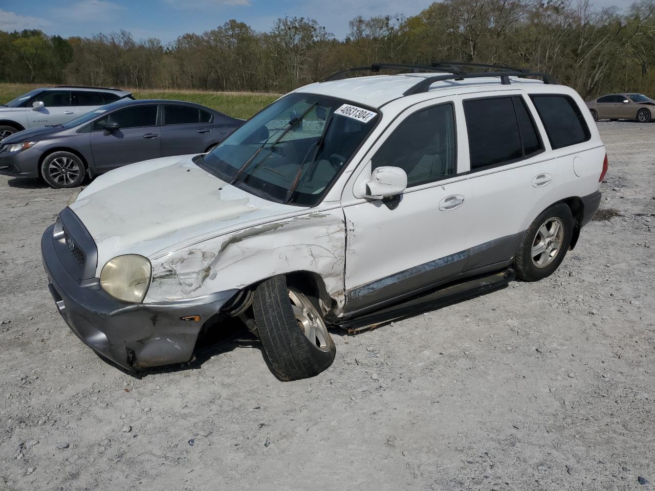 HYUNDAI SANTA FE 2002 km8sb12b42u222605