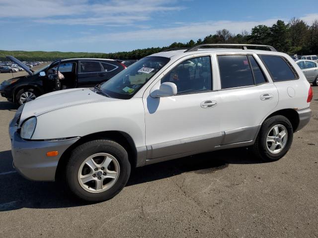 HYUNDAI SANTA FE G 2003 km8sb12b83u450107