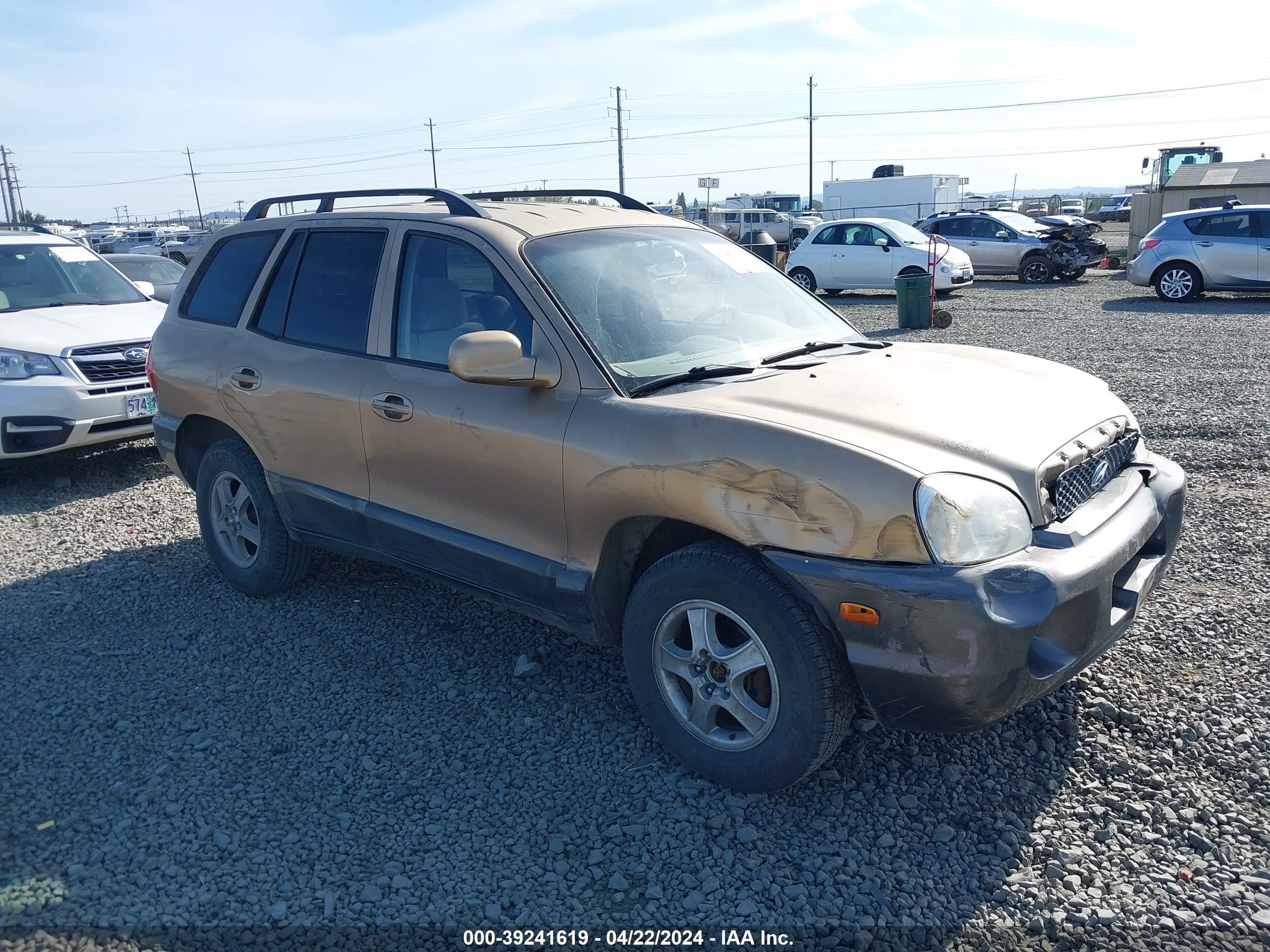 HYUNDAI SANTA FE 2004 km8sb12b94u582391