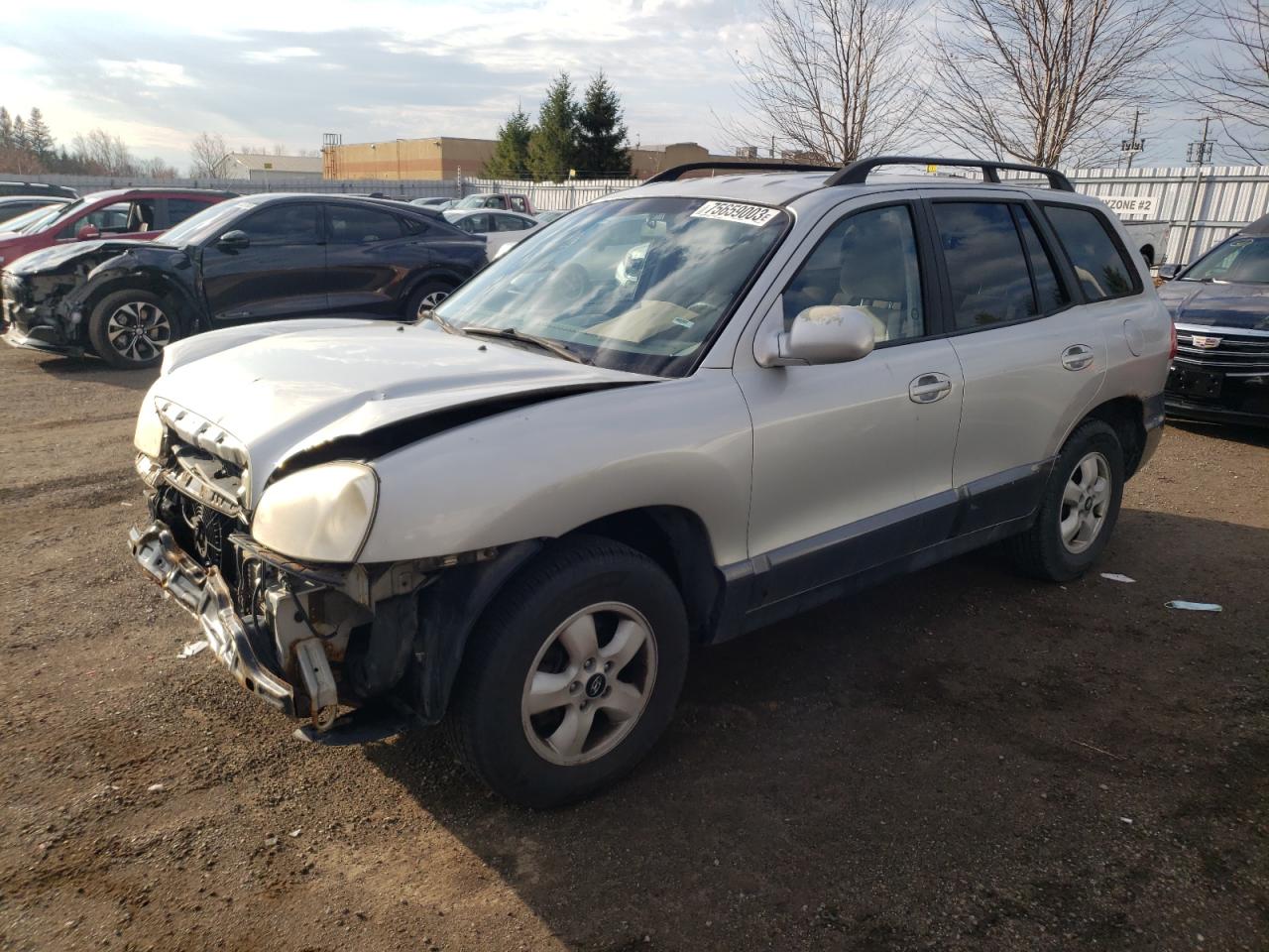 HYUNDAI SANTA FE 2006 km8sb13d06u033729