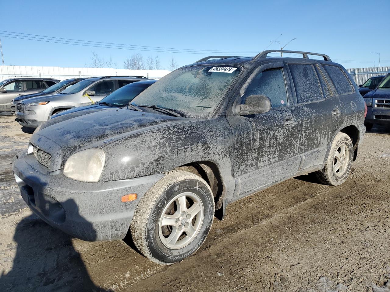 HYUNDAI SANTA FE 2003 km8sb13d33u458695