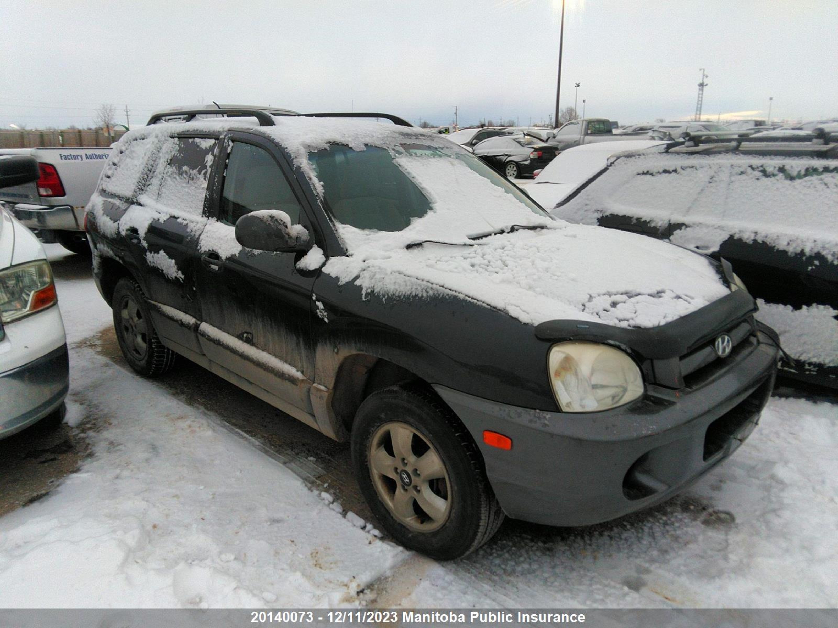 HYUNDAI SANTA FE 2006 km8sb13d76u095855