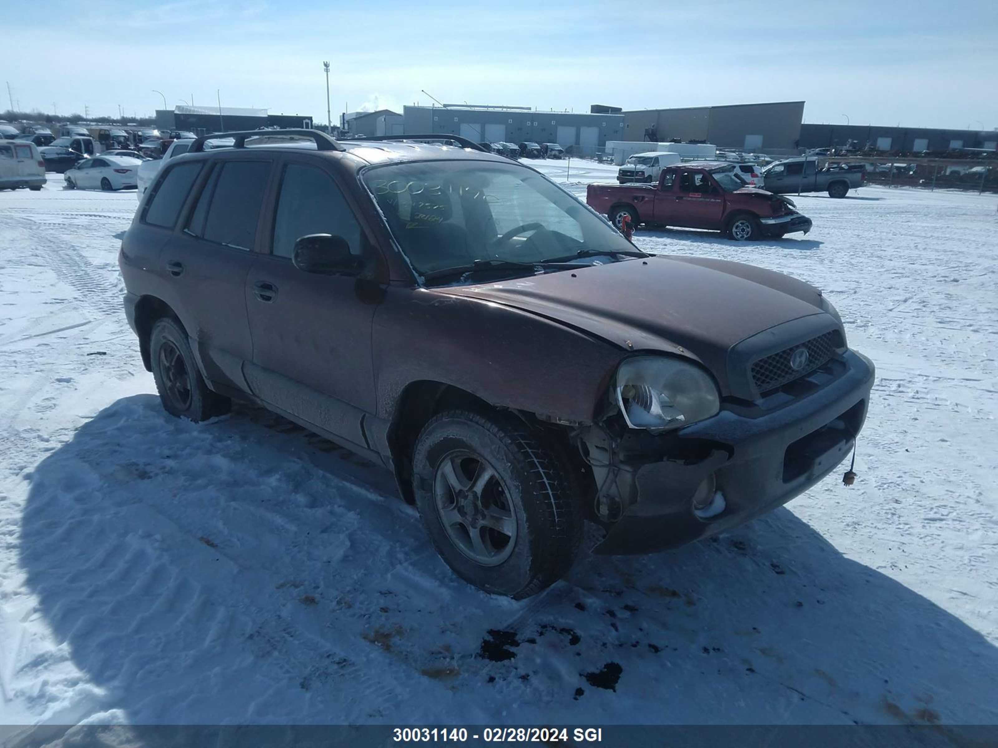 HYUNDAI SANTA FE 2003 km8sb13d83u347575