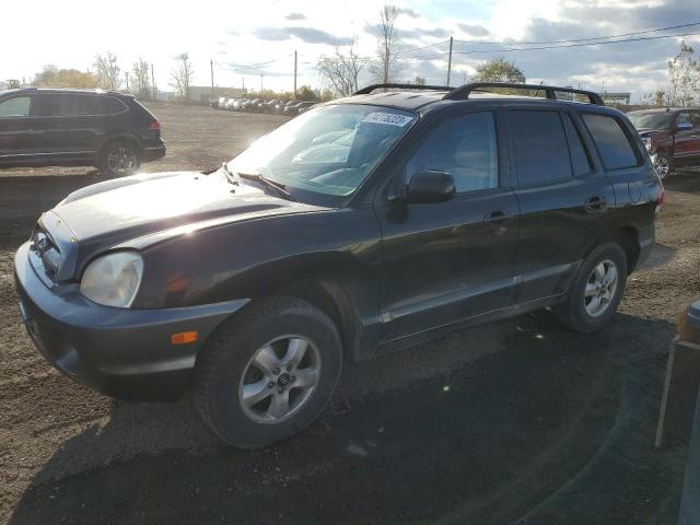 HYUNDAI SANTA FE 2006 km8sb73d06u110232