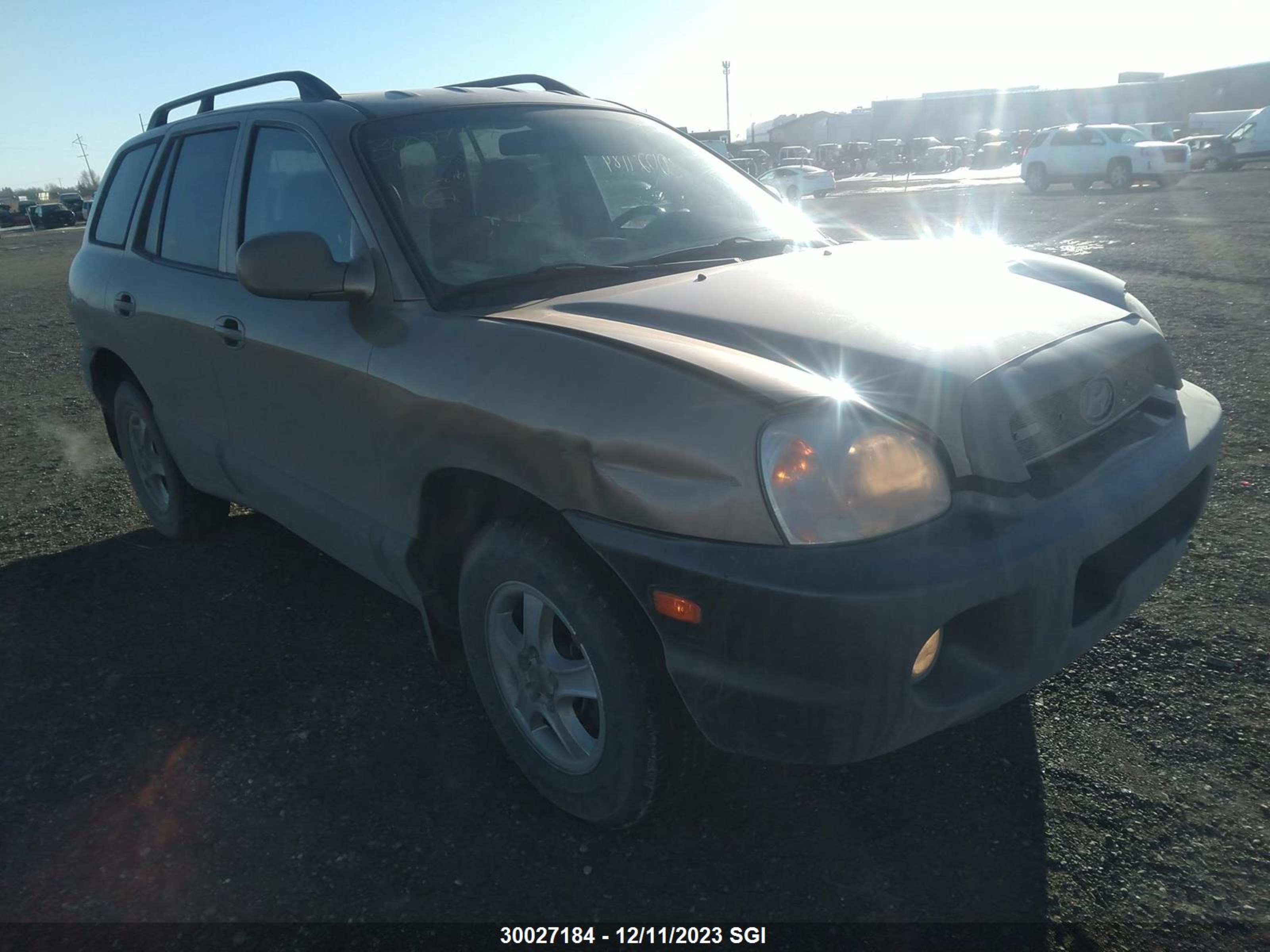 HYUNDAI SANTA FE 2004 km8sb73d14u733839