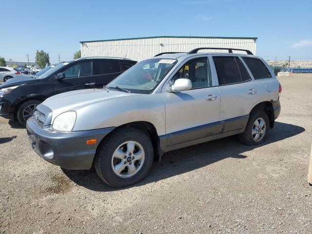 HYUNDAI SANTA FE 2005 km8sb73d45u942932