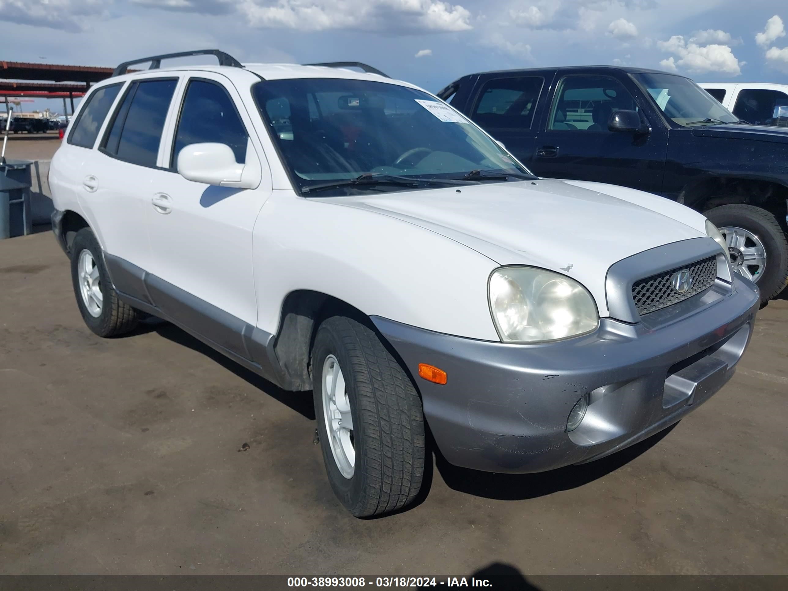 HYUNDAI SANTA FE 2003 km8sc13d03u519305