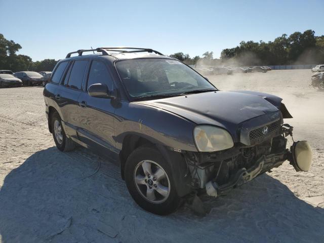 HYUNDAI SANTA FE G 2005 km8sc13d05u934532