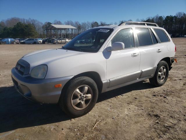 HYUNDAI SANTA FE 2006 km8sc13d06u101850