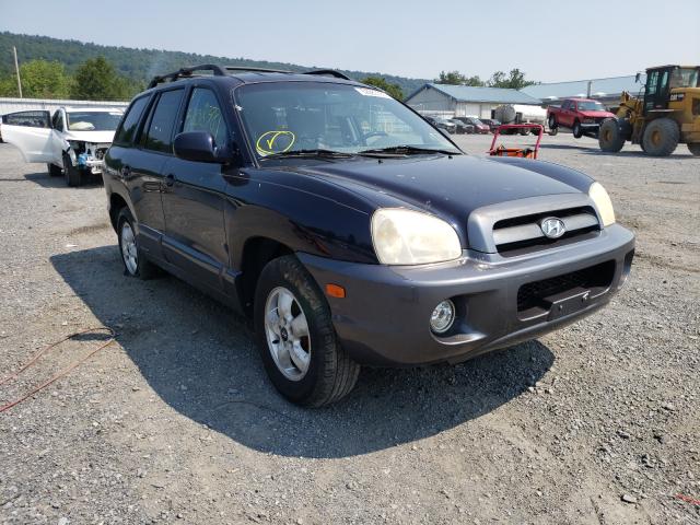 HYUNDAI SANTA FE 2005 km8sc13d15u013811