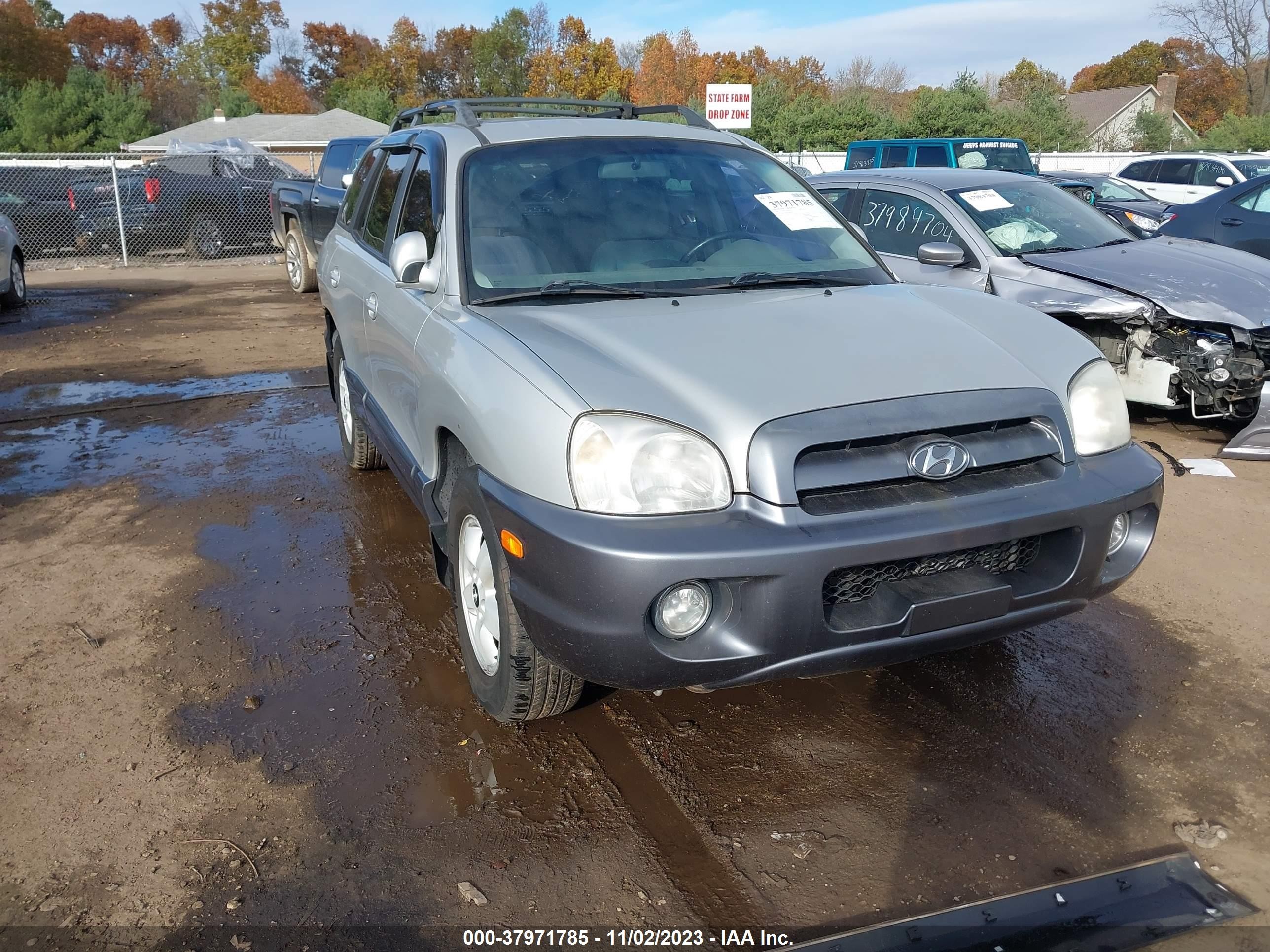 HYUNDAI SANTA FE 2006 km8sc13d16u096948