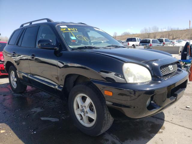 HYUNDAI SANTA FE G 2003 km8sc13d23u465828