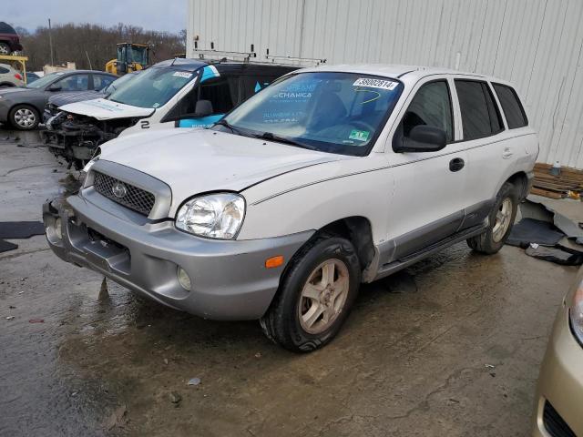 HYUNDAI SANTA FE 2003 km8sc13d23u556422