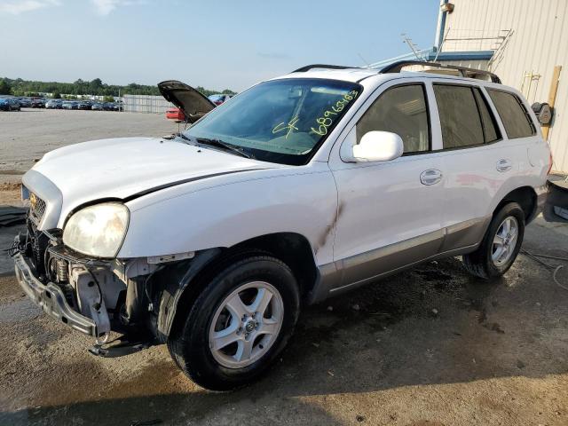 HYUNDAI SANTA FE G 2004 km8sc13d24u733102