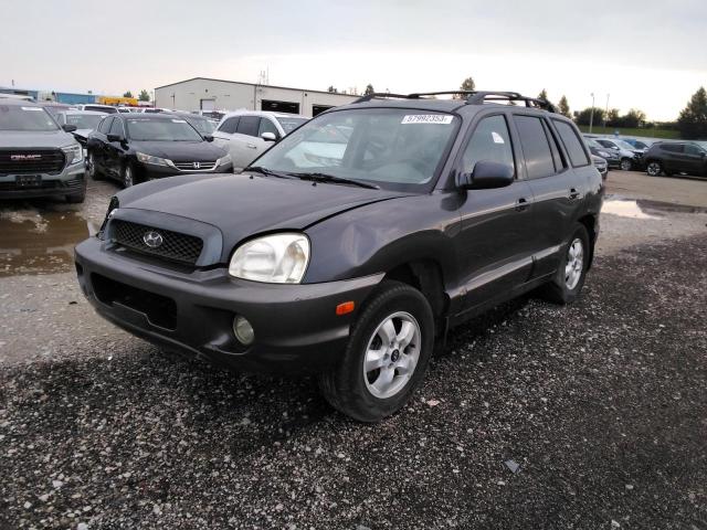 HYUNDAI SANTA FE 2005 km8sc13d25u906697