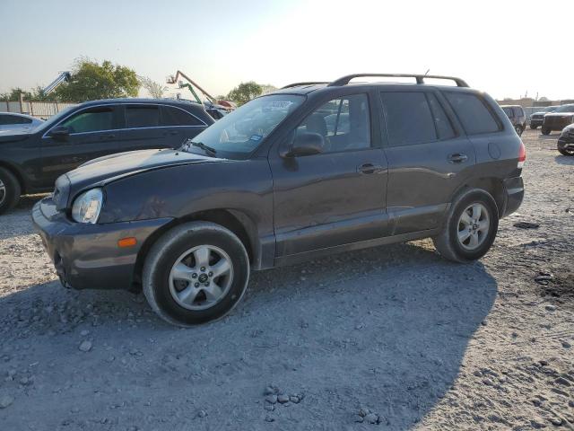 HYUNDAI SANTA FE G 2006 km8sc13d26u050500