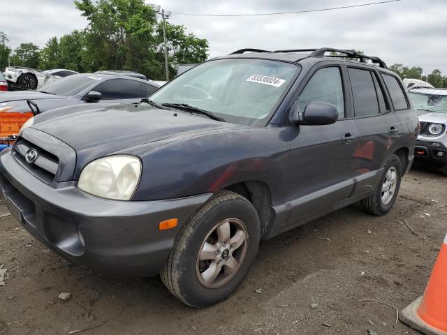 HYUNDAI SANTA FE 2006 km8sc13d26u077468