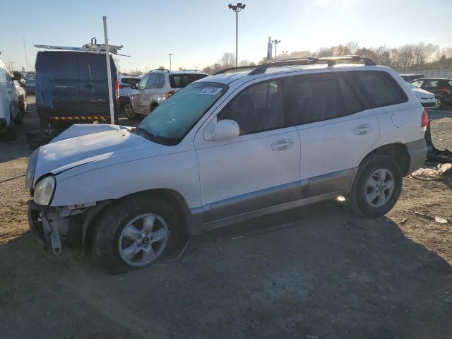 HYUNDAI SANTA FE 2006 km8sc13d26u091340