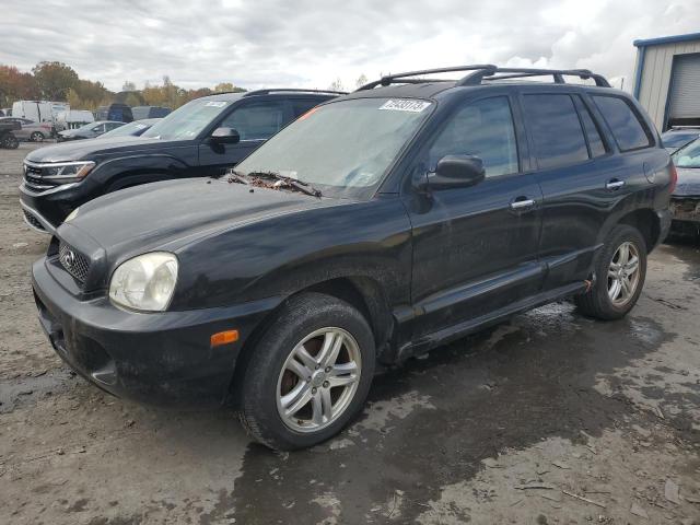 HYUNDAI SANTA FE G 2003 km8sc13d33u422289