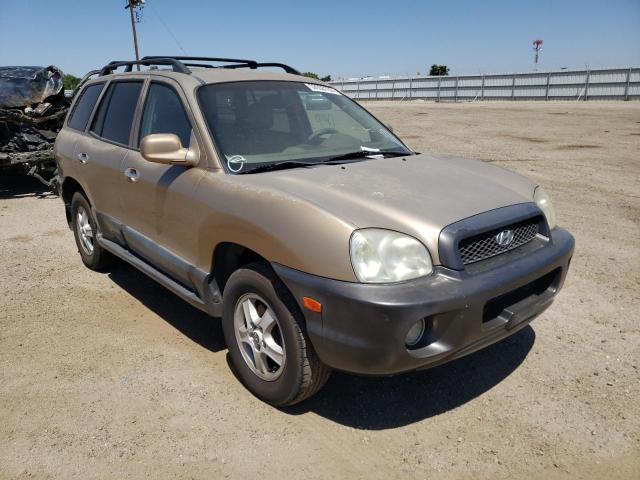 HYUNDAI SANTA FE G 2003 km8sc13d33u441473