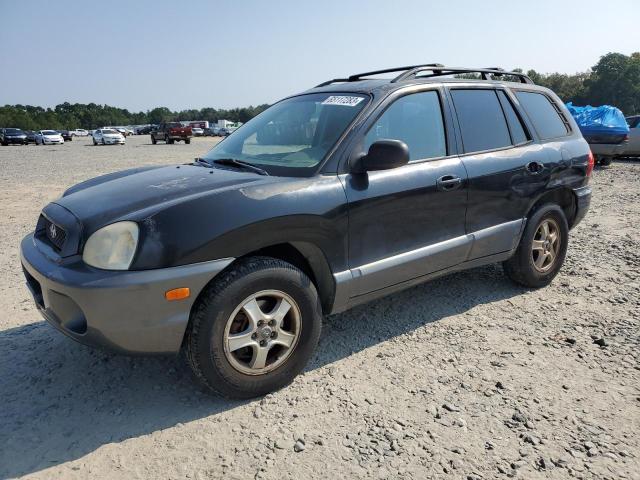 HYUNDAI SANTA FE G 2003 km8sc13d33u510551