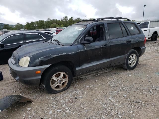 HYUNDAI SANTA FE 2003 km8sc13d34u717359